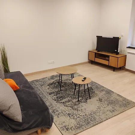Marechal 1 Parking 4 Couchages Apartment